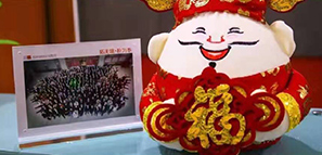 ϲ(bo)ؘO(sh)Ӌ(j)o